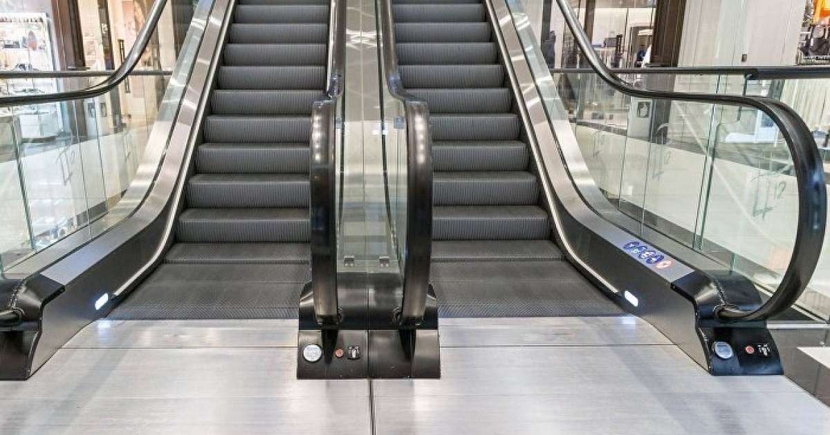 Астанада сауда орталығының бірінде қыздың үстіне пальма ағашы құлады