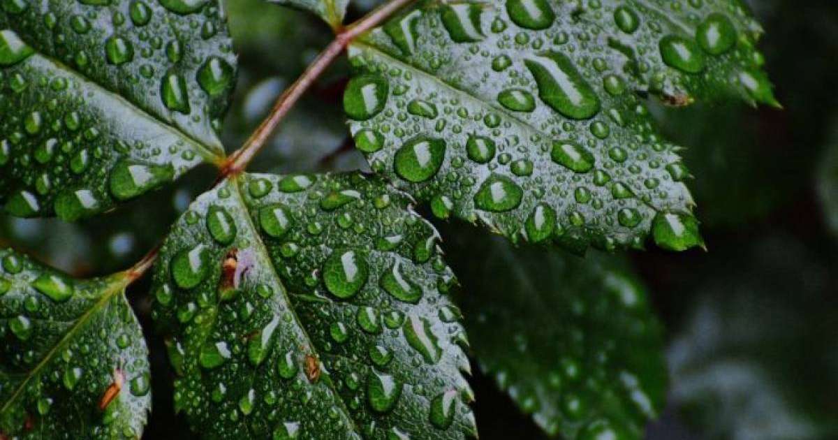 2019 жылдың 18,19,20 маусым күндеріндегі ауа райына болжам