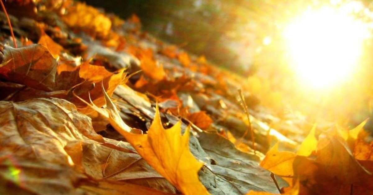 未来几日全国大部分地区迎来晴朗天气