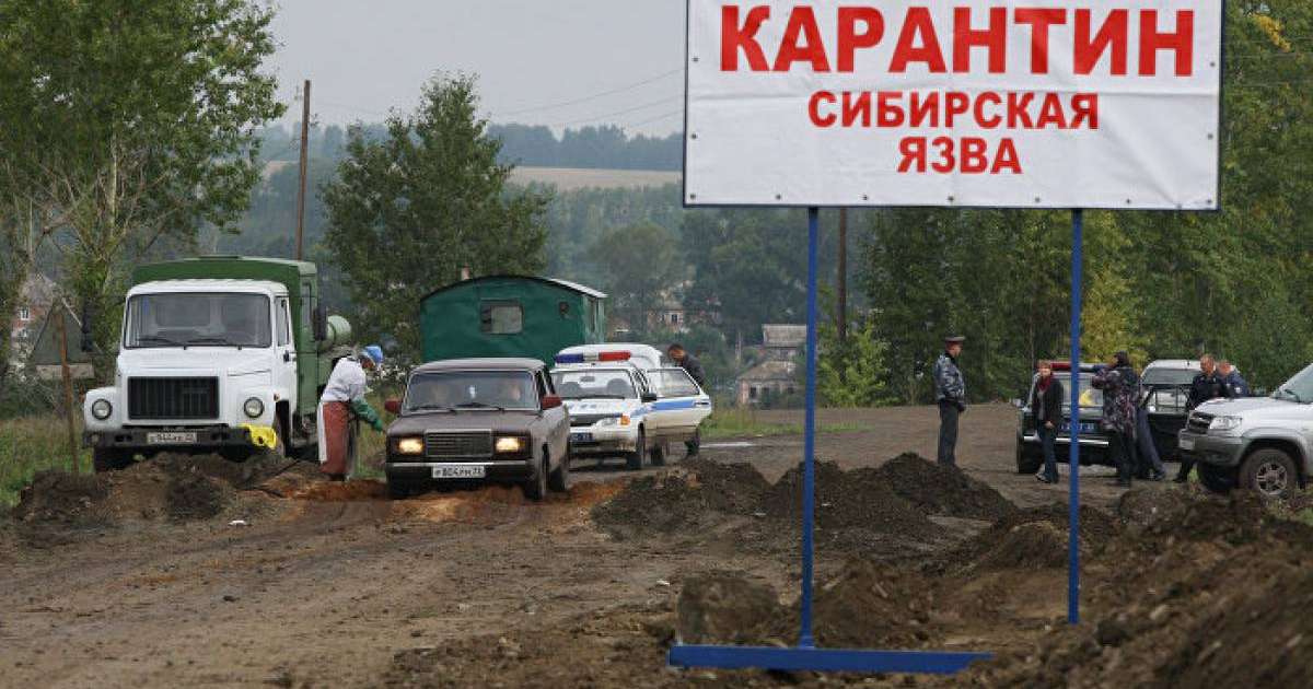 сібір жарасының қайдан шыққаны белгілі болды