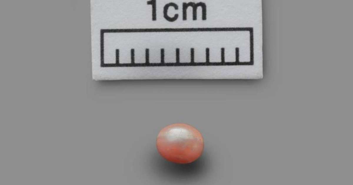 阿布扎比出土世界最古老珍珠 已有8000年历史