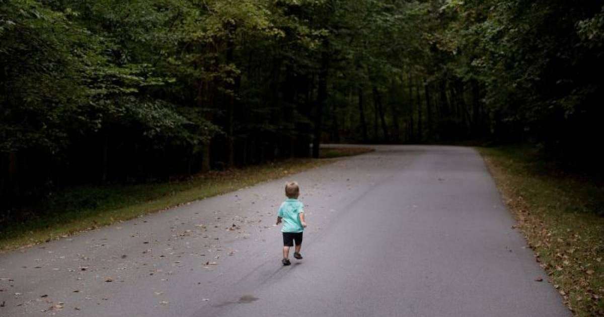 ШҚО-да өз үйінің ауласынан жоғалып кеткен 2 жасар бала әлі табылған жоқ