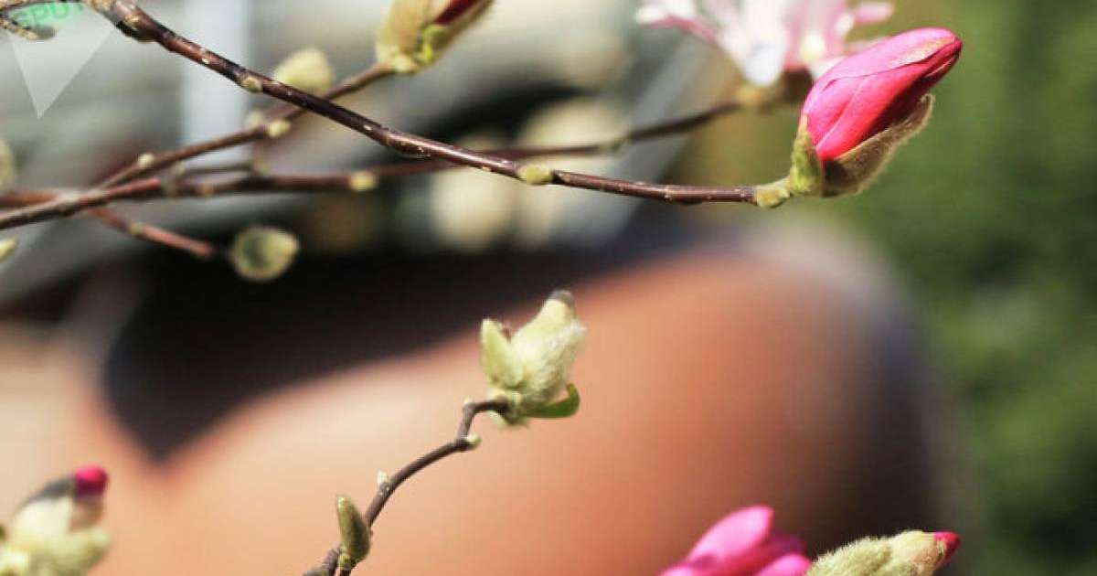 Ауа райы болжамы: 11 - 13 сәуірде күн жылы болады