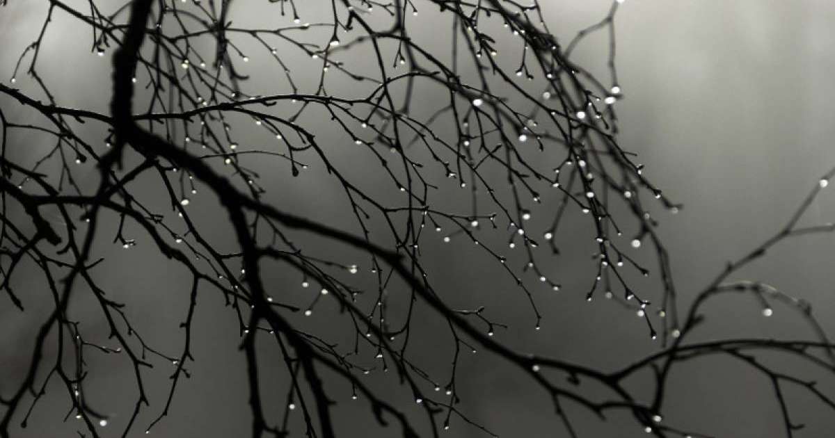 哈萨克斯坦南部多个地区发布恶劣天气预警