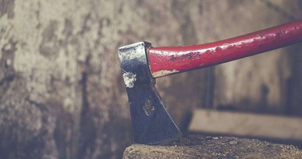 16 жастағы бозбала бүкіл отбасын балталап өлтіріп, өз-өзіне қол салды