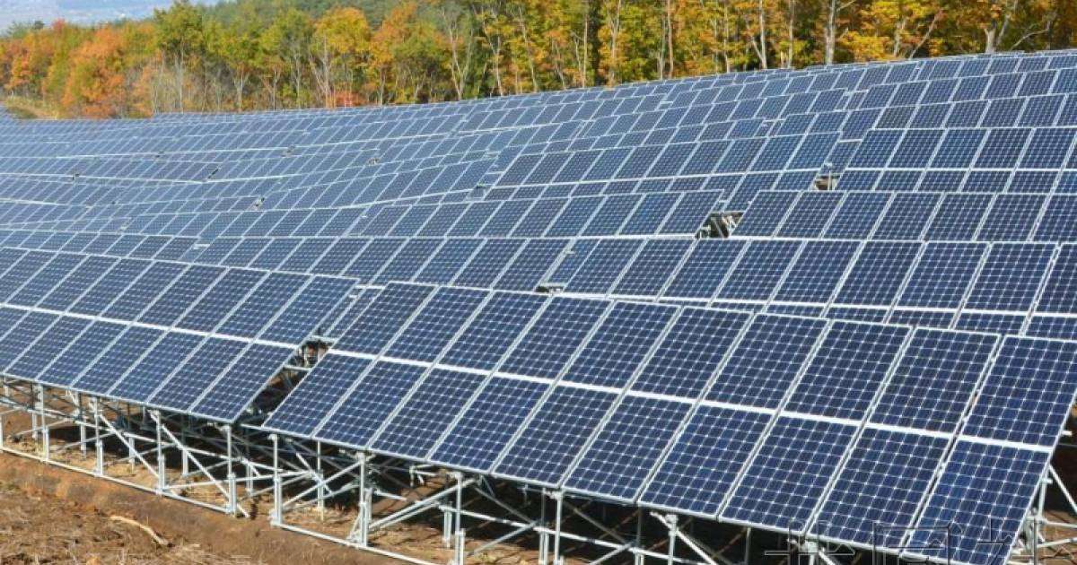 可再生能源2024年发电能力将增加五成