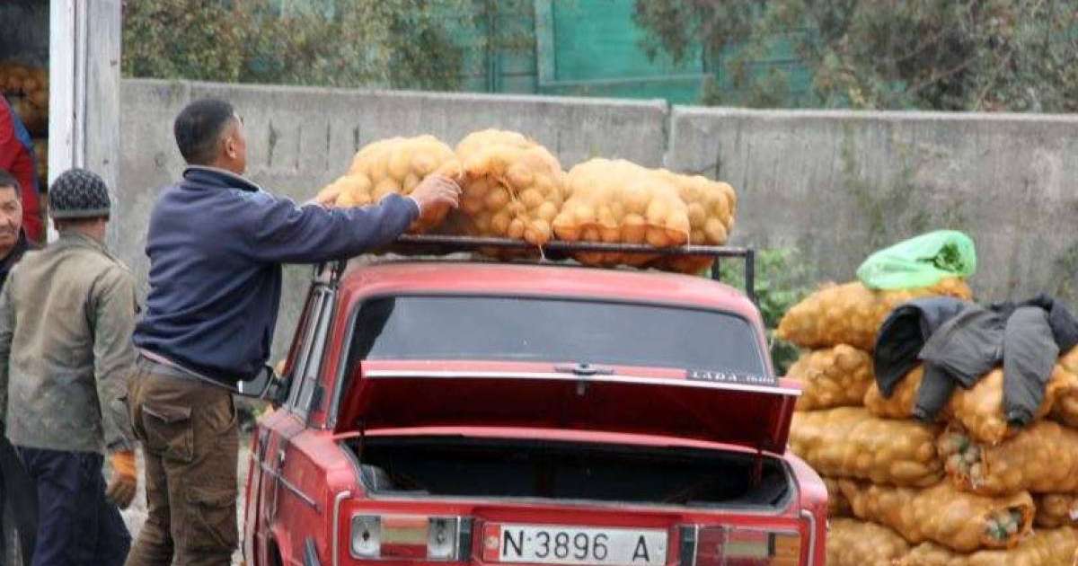 Қазақстан Қырғызстаннан келетін көкөніс, жеміске шектеуді алып тастауға дайын