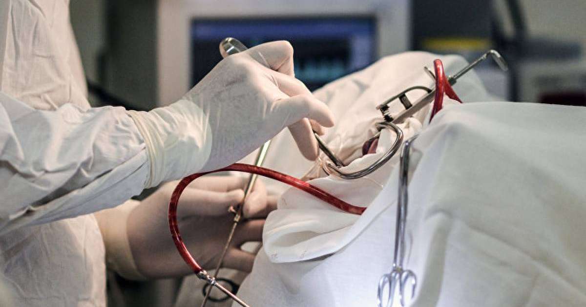 Жас қыз інісін құтқару үшін оқудан бас тартты