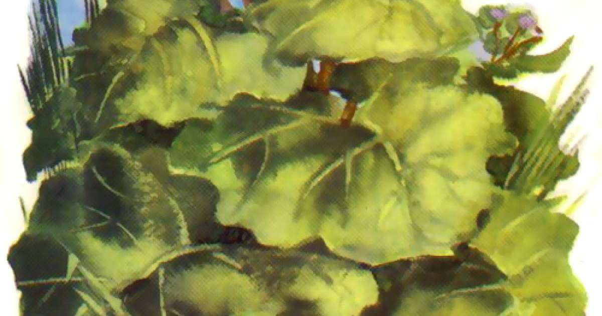 Ұсқынсыз үйрек - Ханс Кристиан Андерсен - Ертегілер - Bilim