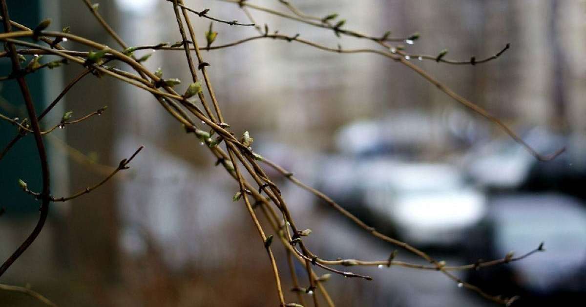 国家气象总局：多个地区4月下旬将迎来降温天气