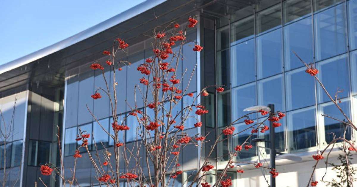 16 тамызда қандай іс-шаралар өтеді