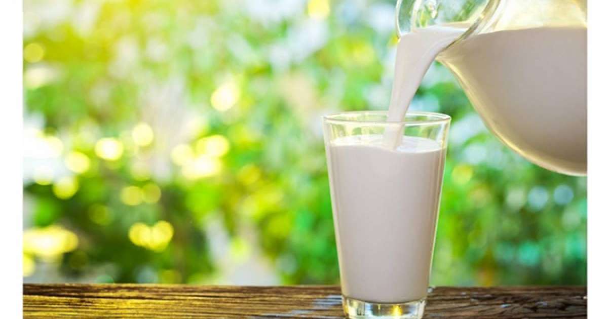 Сүт – сүйекті нығайтады |