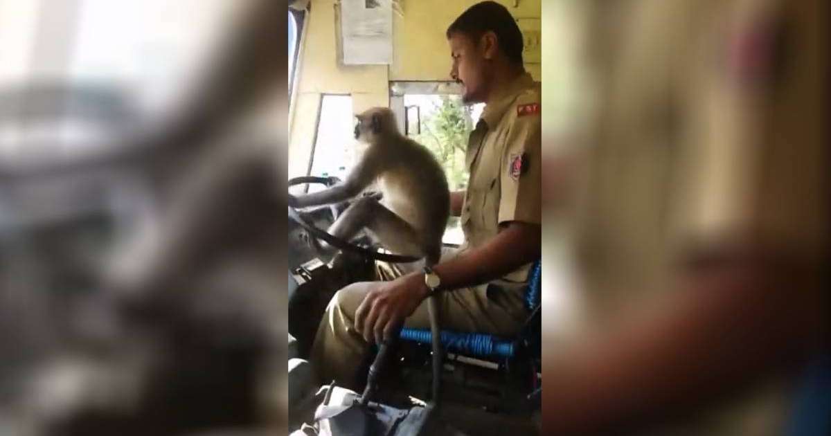 Қазақша эссе: Қазіргі заман мұғалімі