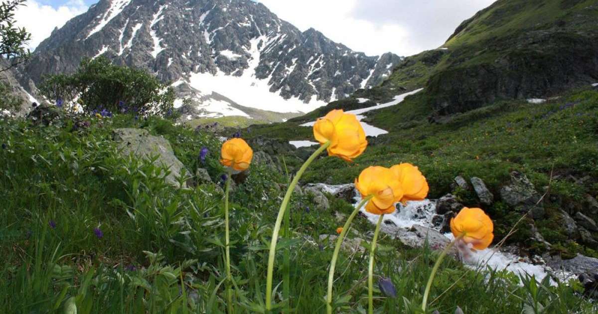 Алтайға кел, ағайын!