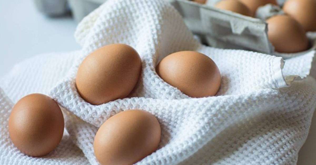 Интернеттен әдісін қарап, жұмыртқа пісірген қыз жантүршігерлік жағдайға тап болды