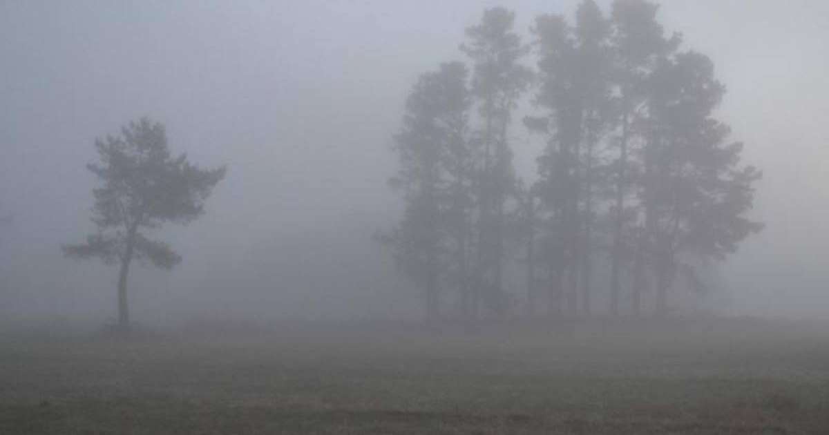 北哈州发布大风大雾气象预警