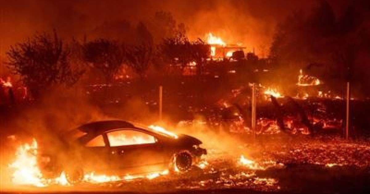 Орман өртеніп, 25 адам қаза тапты