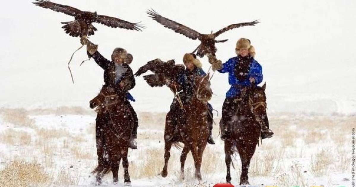 Ұлттық ойын: Бүркіт