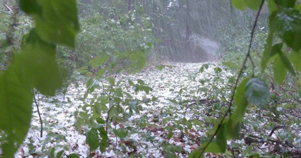 Ертең дауыл тұрып, нөсер жаңбыр, бұршақ жауады