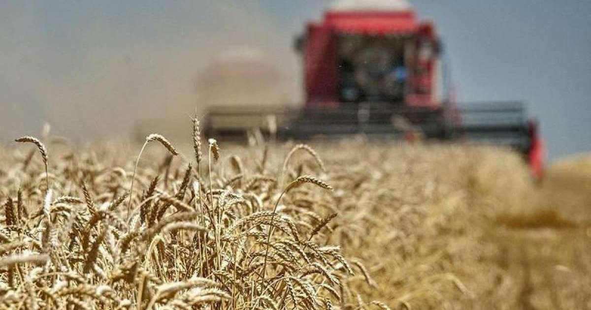 库斯塔奈州完成秋季粮食收割工作