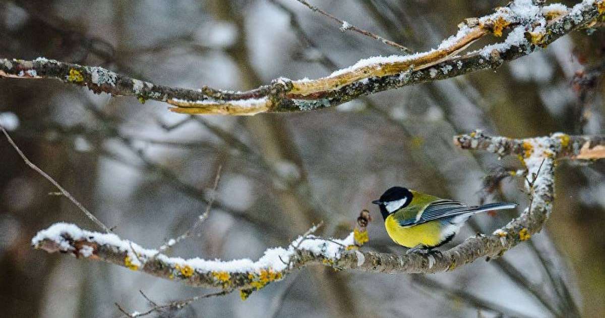 12 қарашада қандай оқиға болды: мереке күндері, тарихи оқиғалар