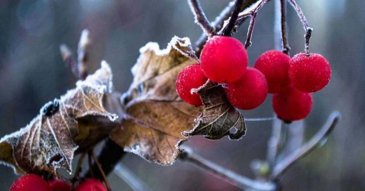 国内三州发布天气预警