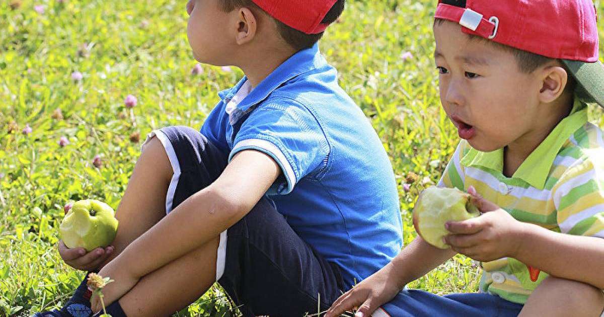 орындарды үлестіру жүйесі қашан қосылады