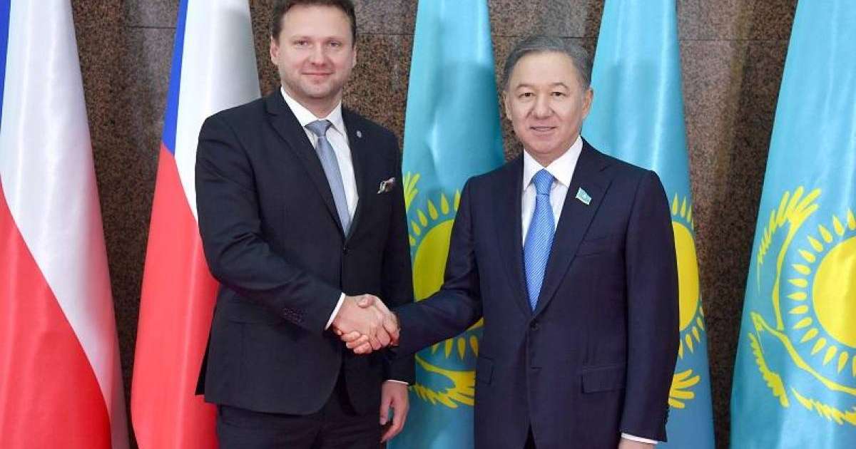 尼格马图林会见捷克众议院议长