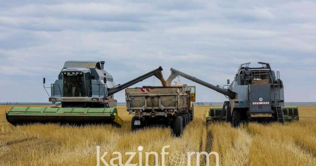 北哈州粮食收割工作即将结束