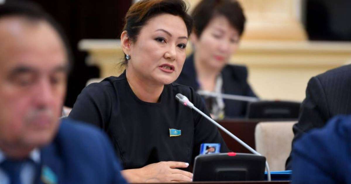 Дана Нұржігіт халыққа кредит беру мәселесін көтерді