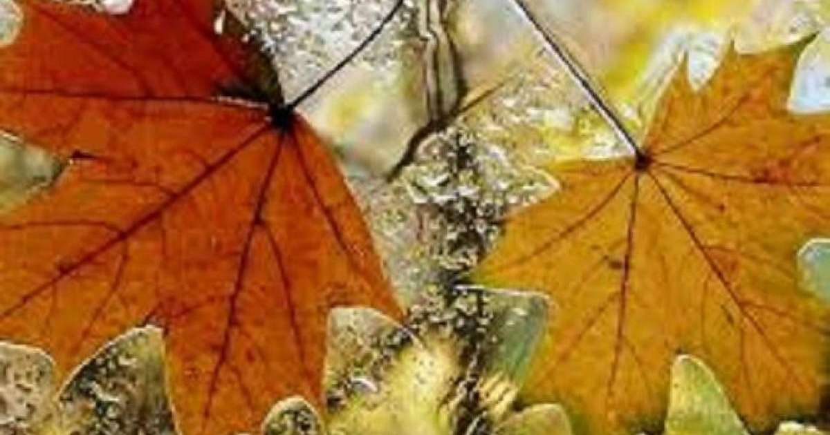 周四哈萨克斯坦大部分地区迎来降雨天气