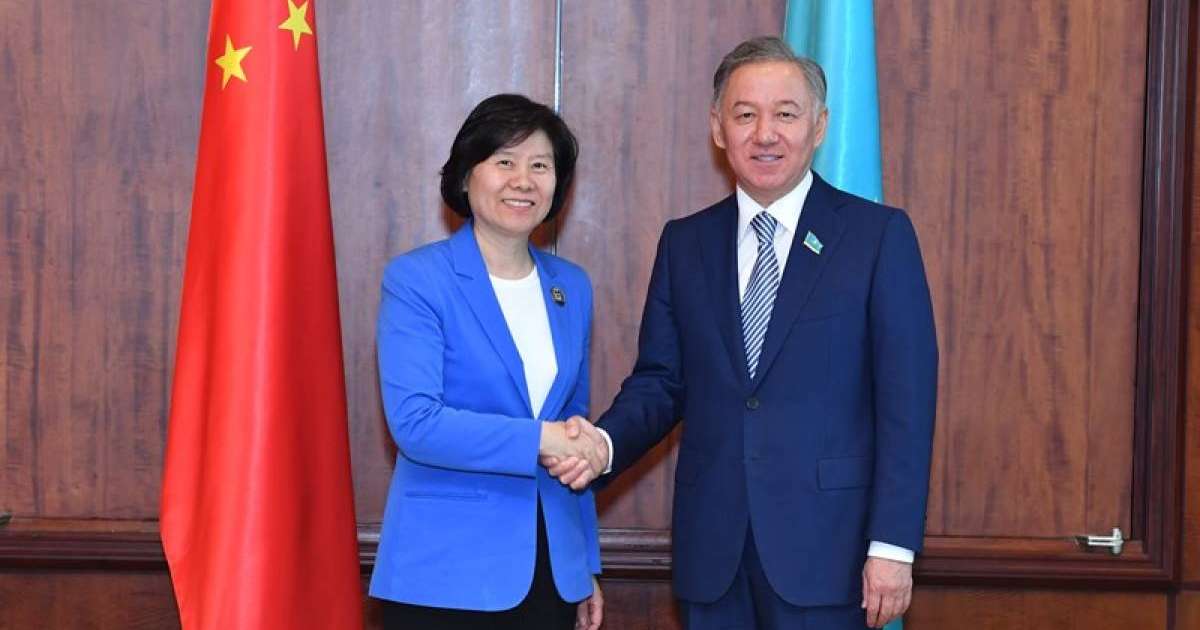 尼格马图林会见中国全国人大常委会副委员长沈跃跃