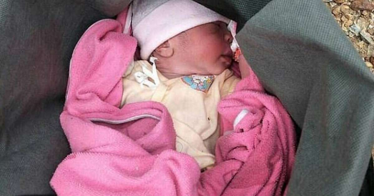 Көкек ана шаранасын қоқыс шелегіне тастап кеткен