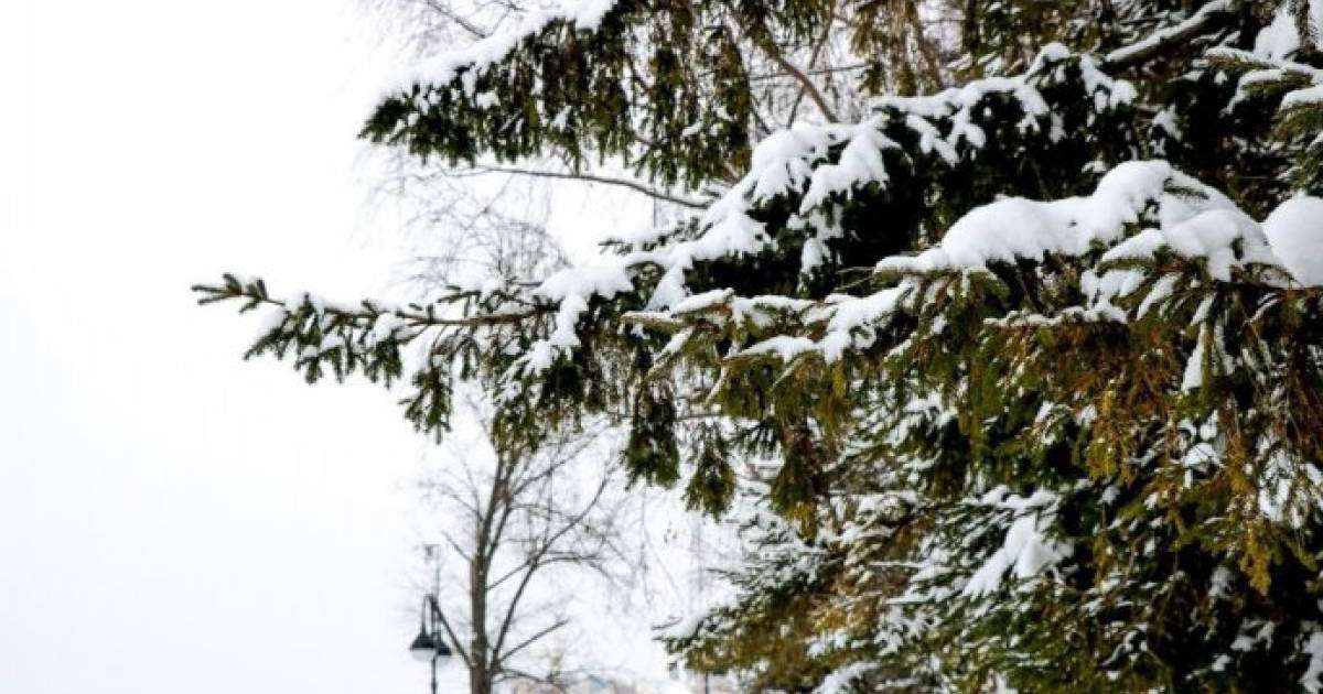 Көктемнің алғашқы күні елімізде ауа-райы қандай болмақ