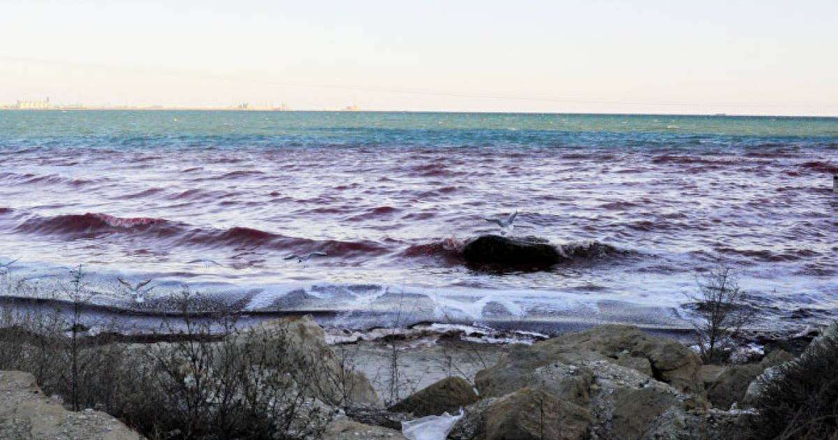 Түрікменстан президенті Каспийдің инновациялық қаласын салуды ұсынды