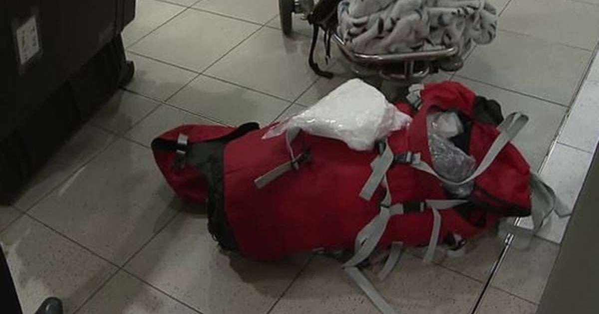 Әуежайда бір сөмке наша тасымақ болған қылмыскерлер құрықталды