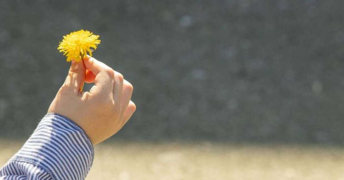 Митингтегі фото, гүл сыйлаған қыз