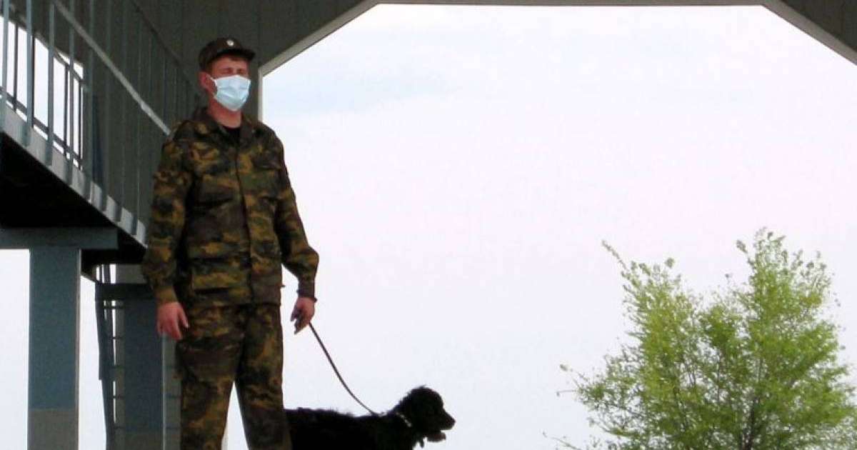 Тараз полицейлері Қытай азаматтарының заңсыз көші-қонын ұйымдастырған