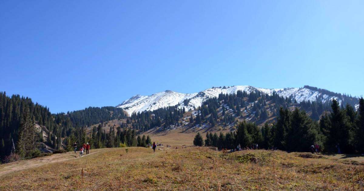 Тоқаев "Көкжайлау" жобасын кейінге қалдыру ұсынысын қолдады