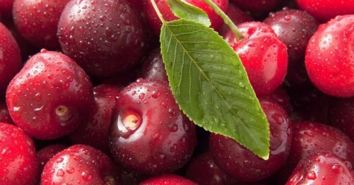 Шие диетасы жүрек-қан тамыр ауруларының алдын алады