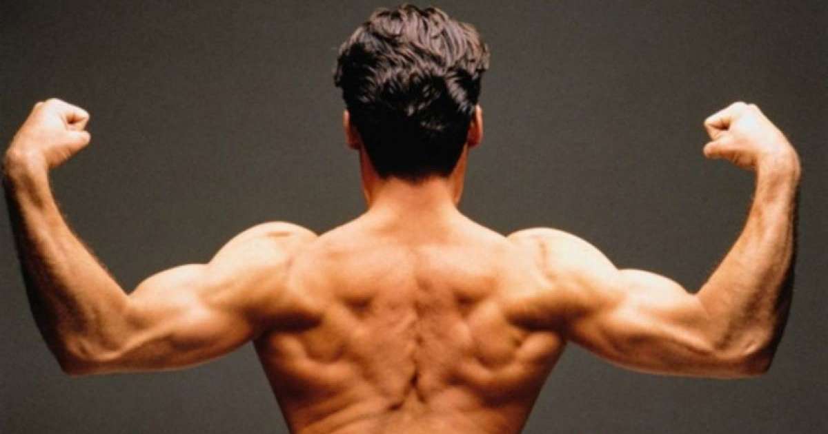 Бұлшықетіңізді қатайтатын тағамдар