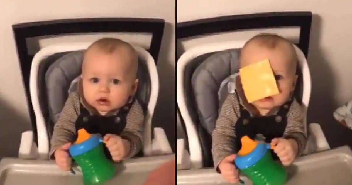 ​Қызық флешмоб: Балалардың бетіне ірімшік лақтыру желіні жарды