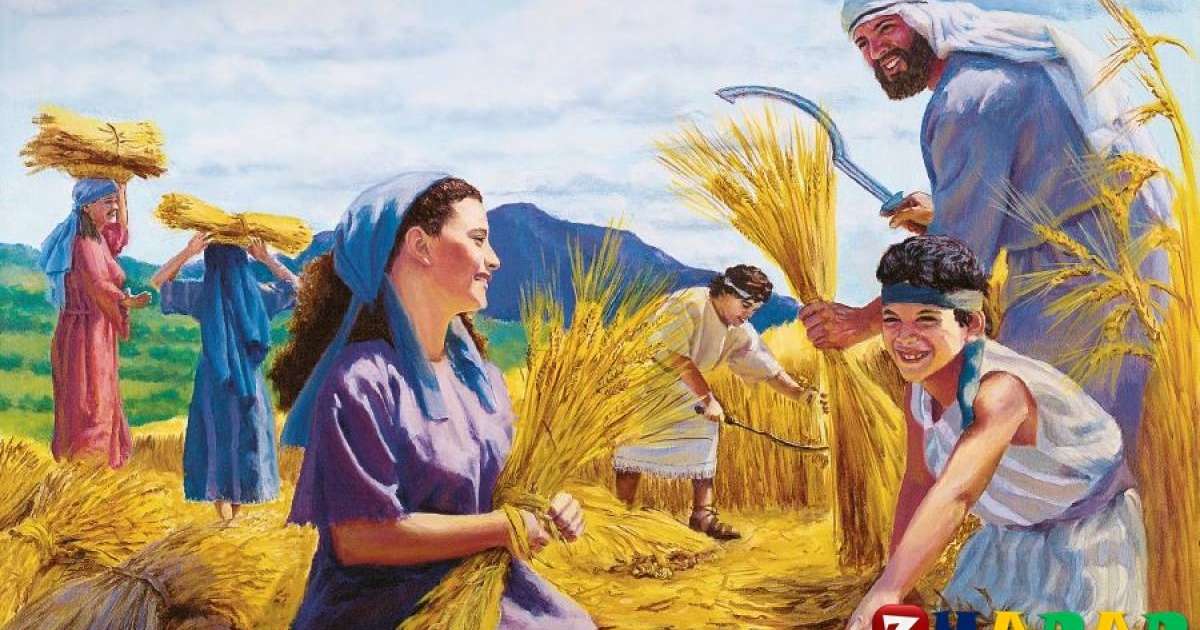 Кончают в жопу онлайн