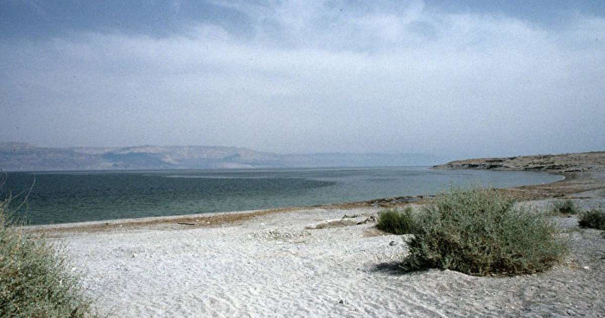 Ғалымдар теңіз суының тартылуына байланысты дабыл қақты