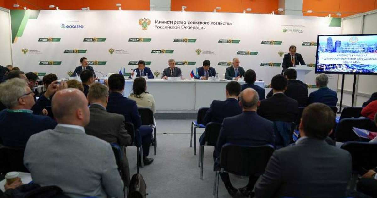哈农业部：过去五年哈萨克斯坦农业生产增长1.4倍