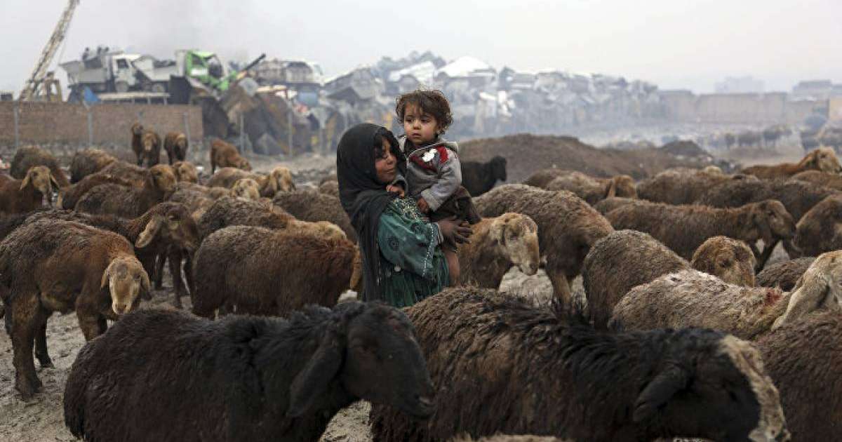 Қазіргі Ауғанстан балалардың көзімен - фотолента