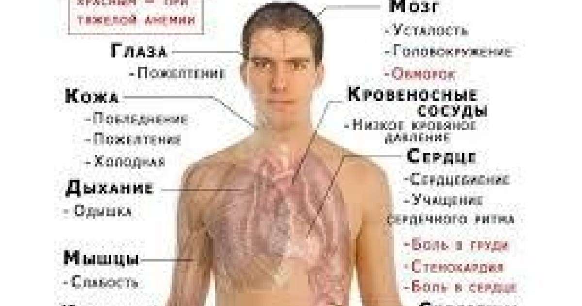 Анемиядан арылу жолдары