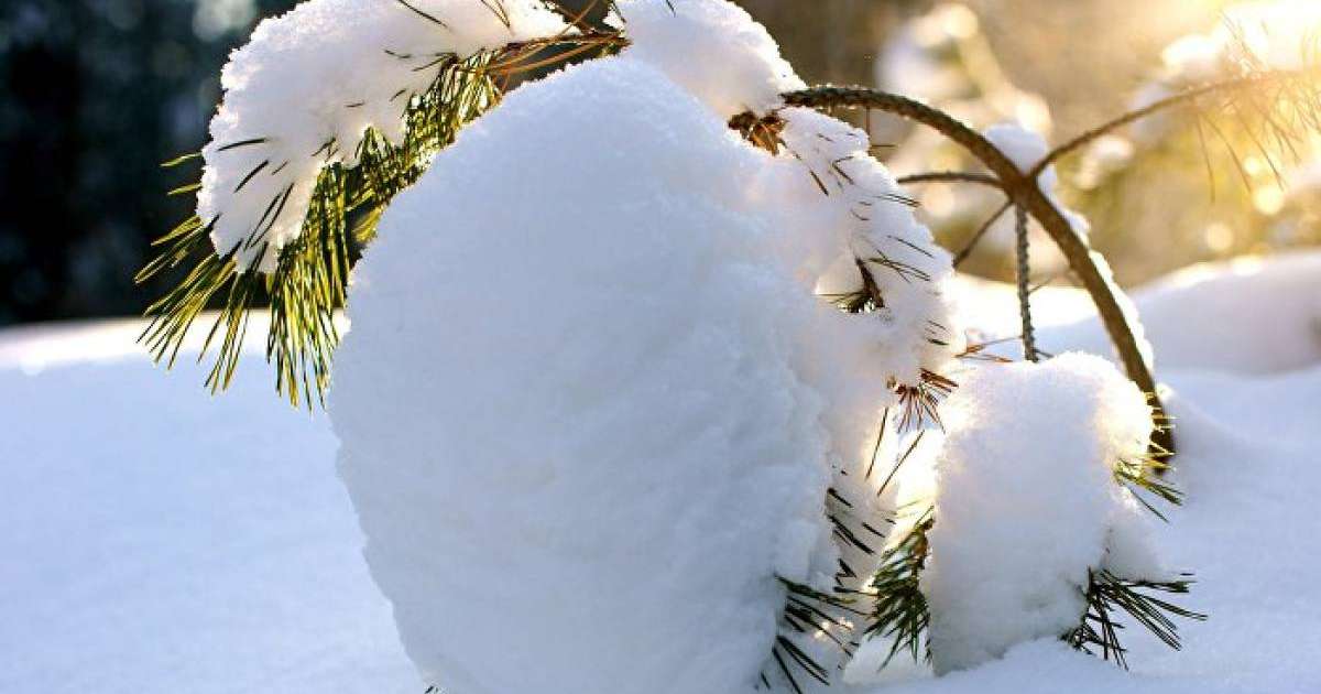 5-8 қаңтарға ауа райы болжамы: алдағы демалыста күн жылынады