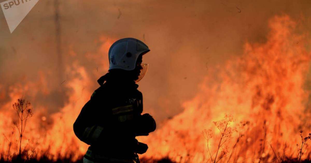 Алматы облысында дала өрті кезінде қаза болғандар наградаға ұсынылады  