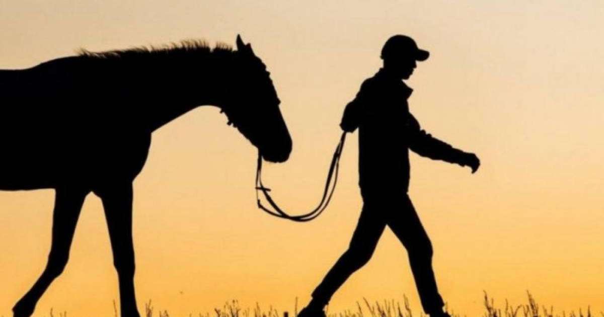 Жамбыл облысында асылып қалған малшы полиция инспекторынан қысым көргенін айтады